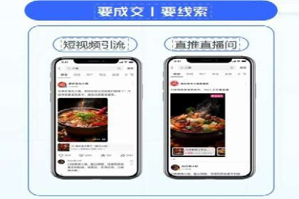 竞价排名与自然排名的对比案例